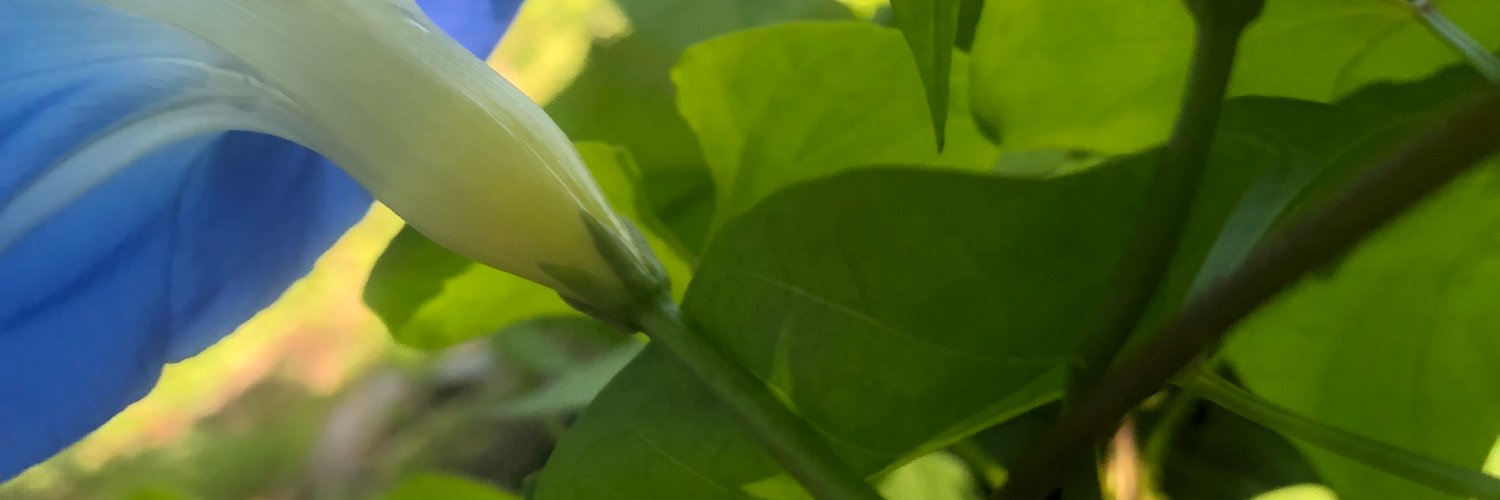 Covert_Sky's profile banner image