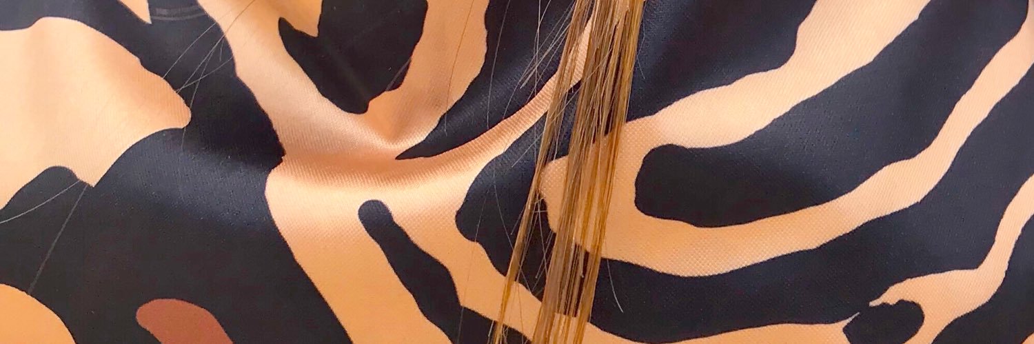 AnabelBarcelo17's profile banner image