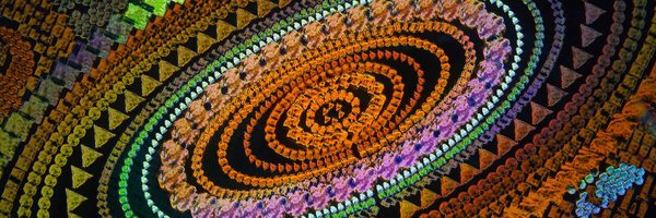 Darwin_REEF Profile Banner