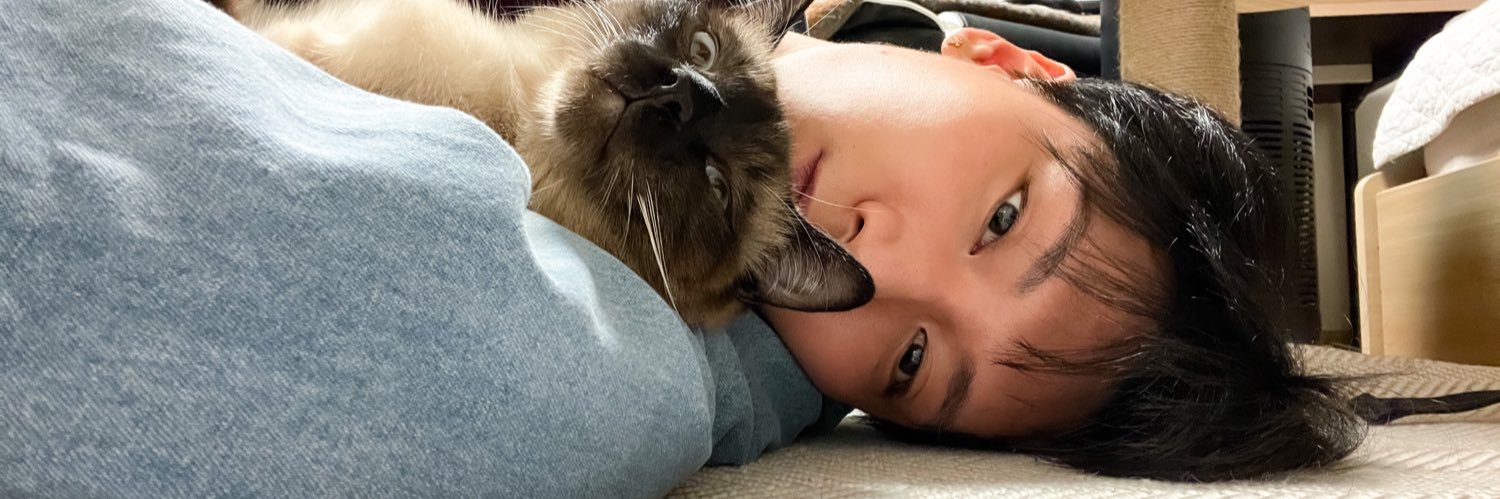 chittphonlee's profile banner image