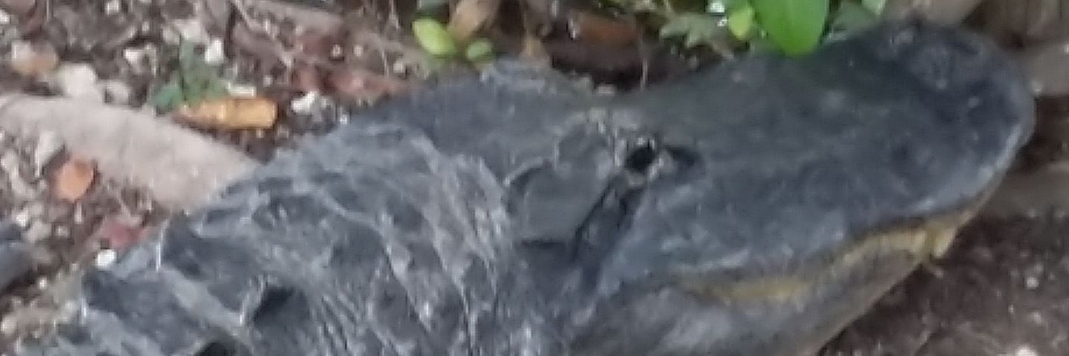 madmike1965's profile banner image