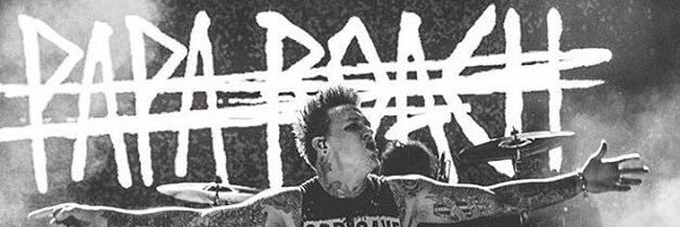Nincompoop22's profile banner image