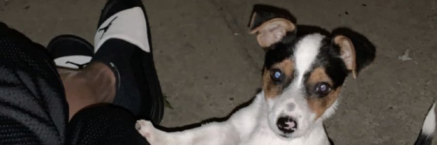 zoe_bernard's profile banner image