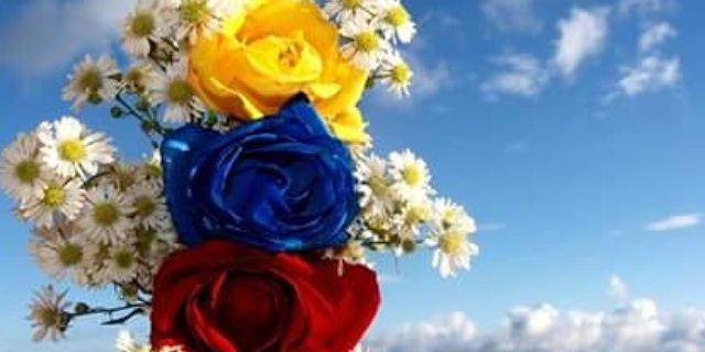 Keyvijtl's profile banner image