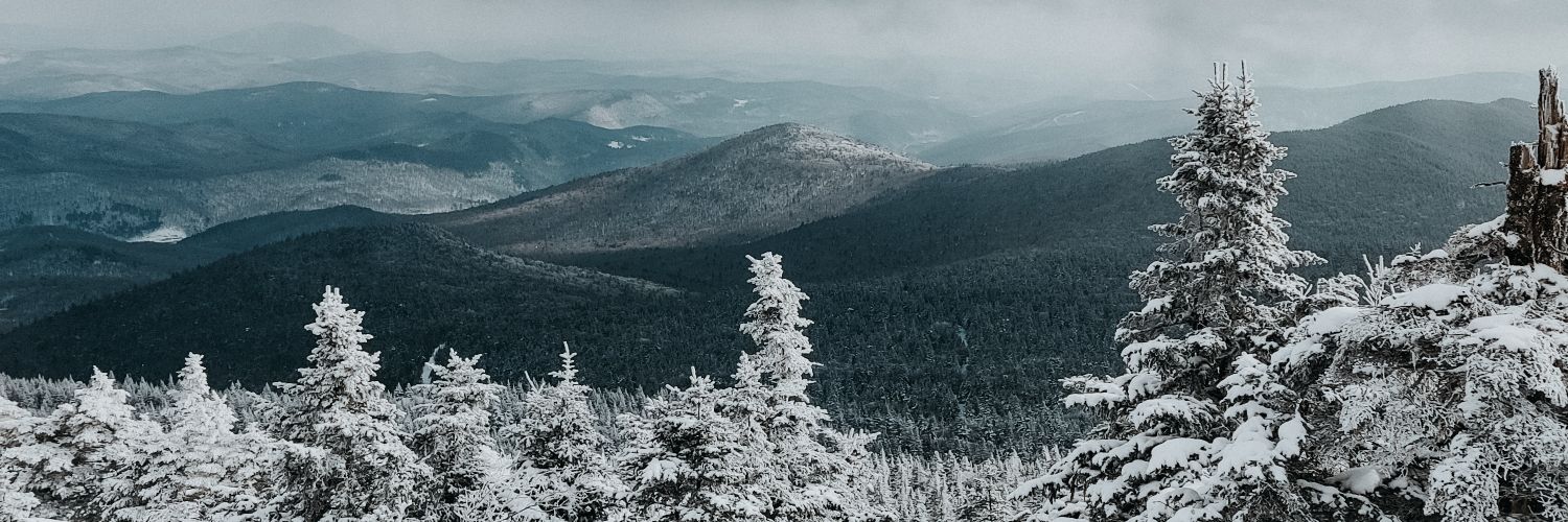amberheckler's profile banner image