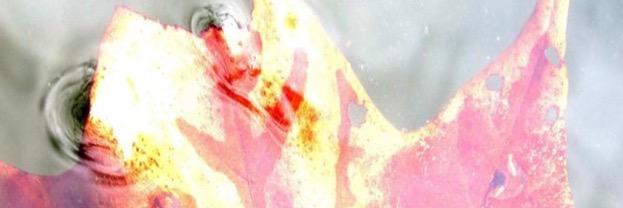DaltonPiper's profile banner image