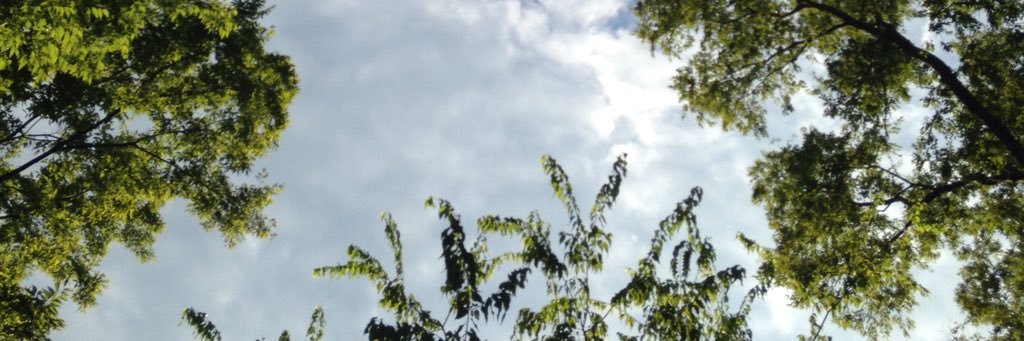 jbateswriter's profile banner image