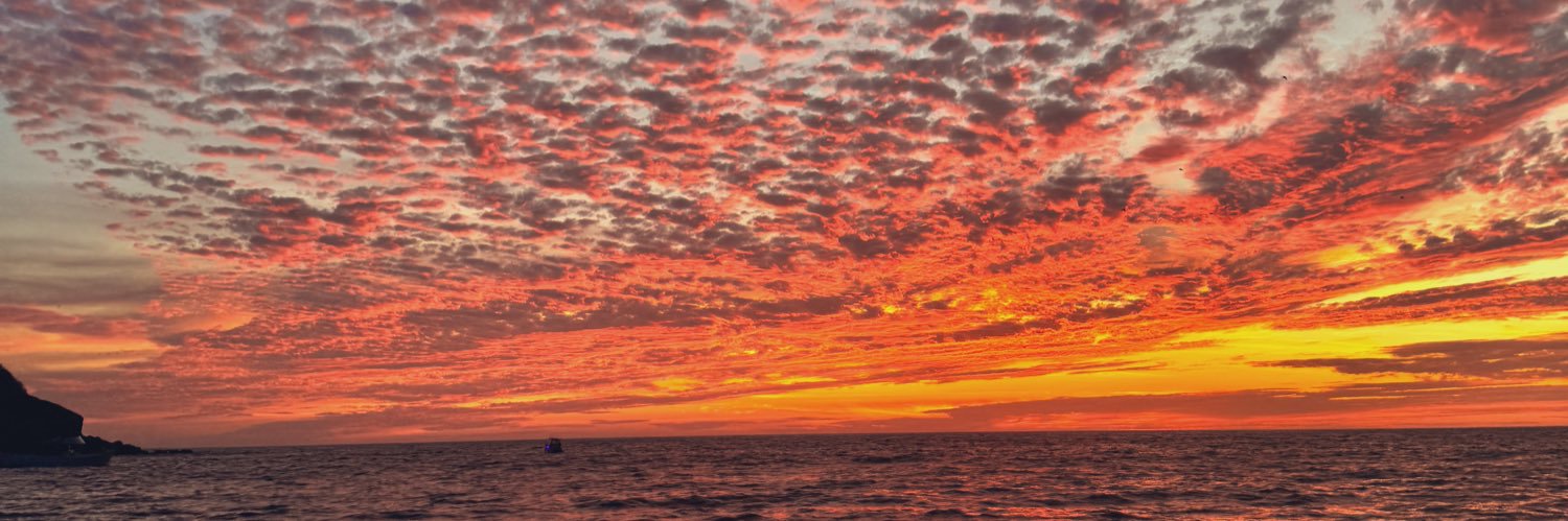 FernandaGarca4's profile banner image