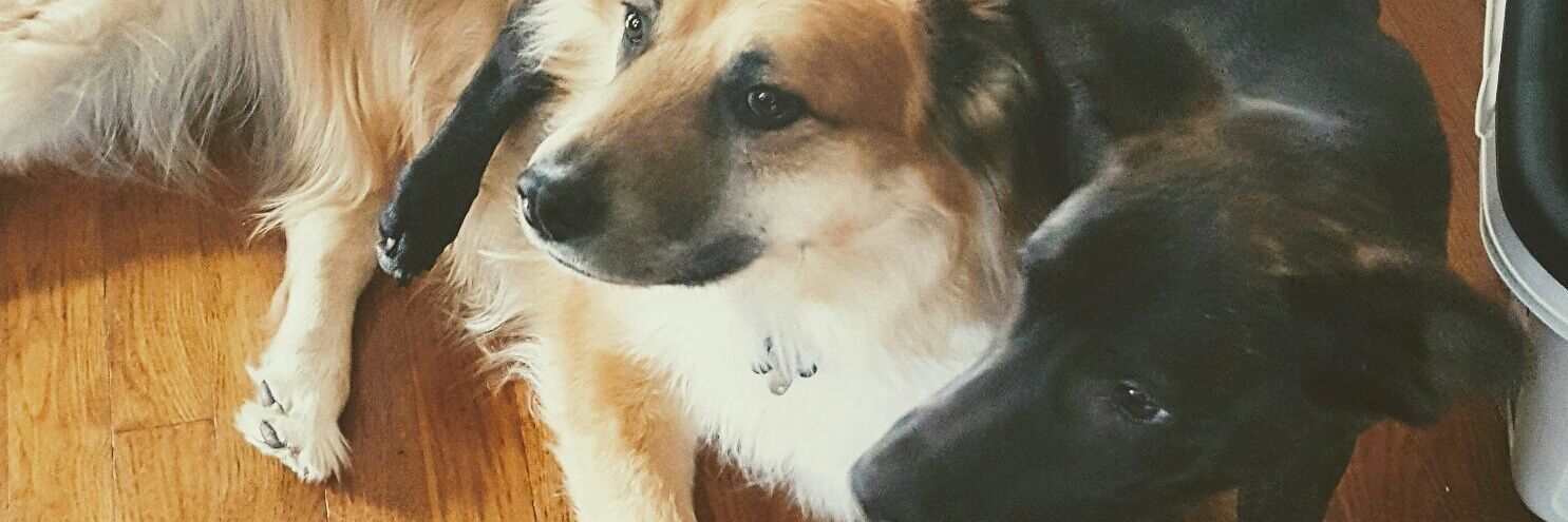 tinySam44's profile banner image