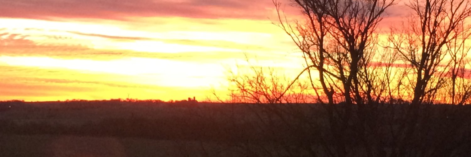 StaceyPellett's profile banner image
