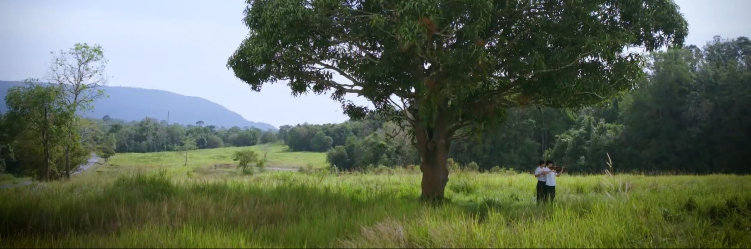 🦊🍅Lavender 🌼🧸 banner