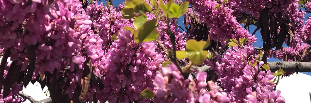 martagn75's profile banner image