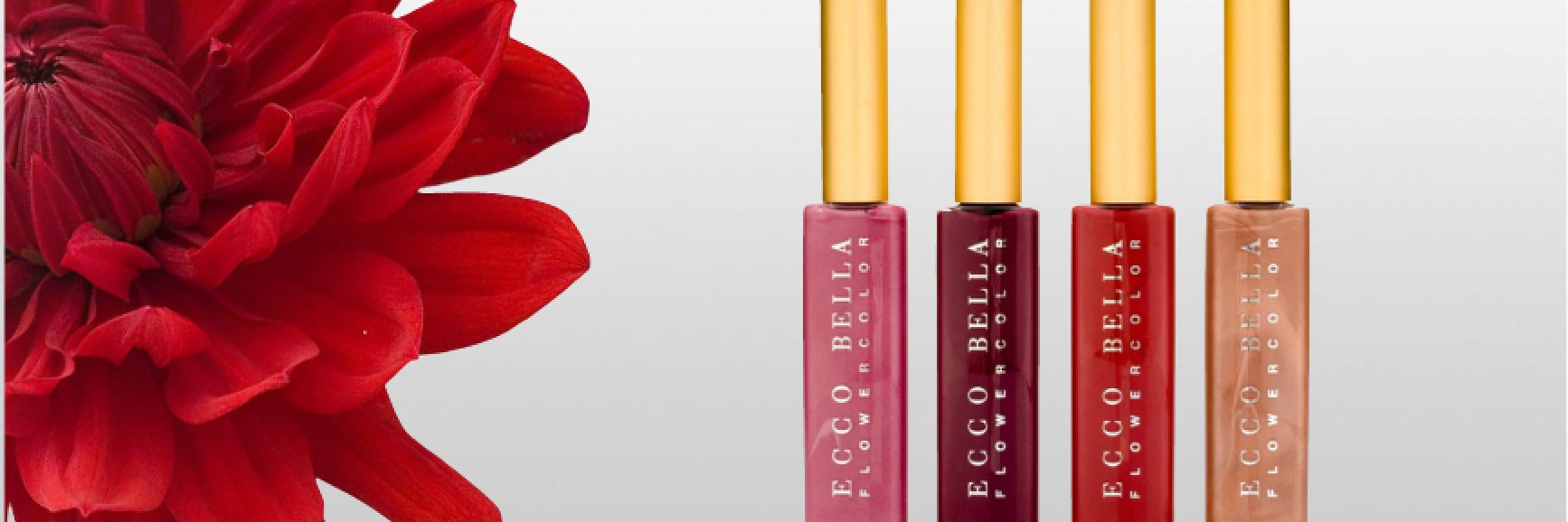 Ecco Bella banner