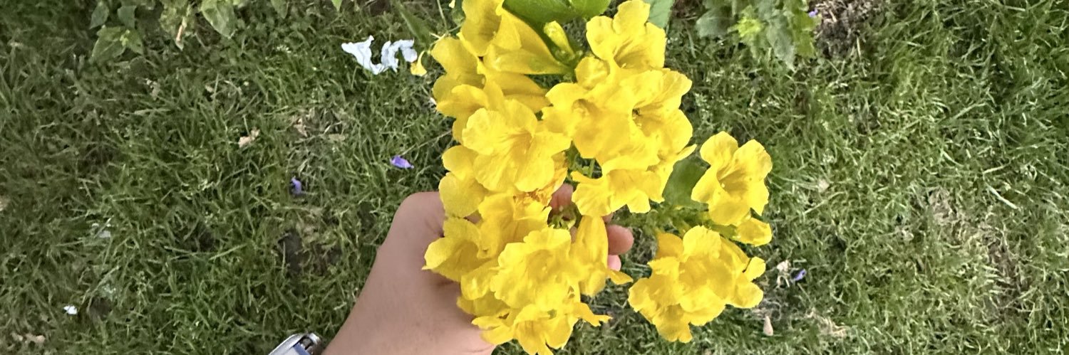 Mjd_il's profile banner image