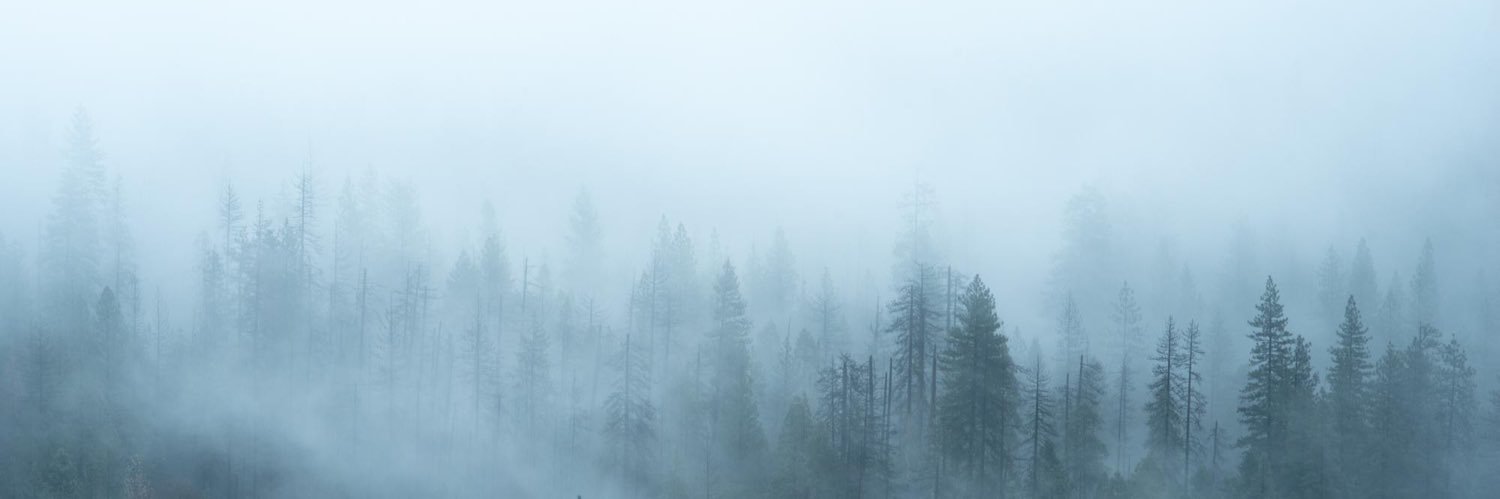 bsnytes's profile banner image