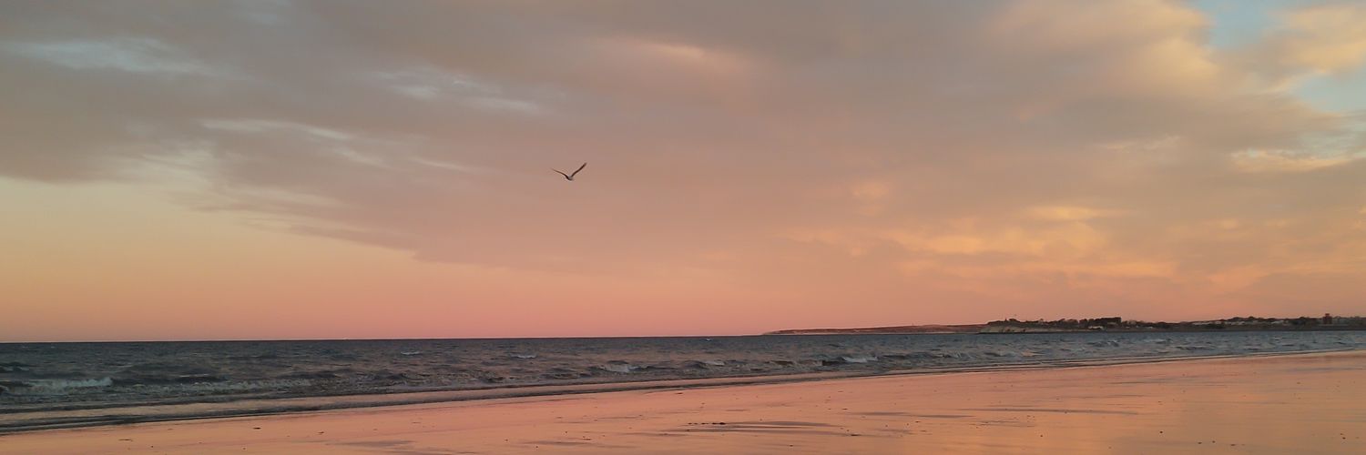 BelenCoronel97's profile banner image