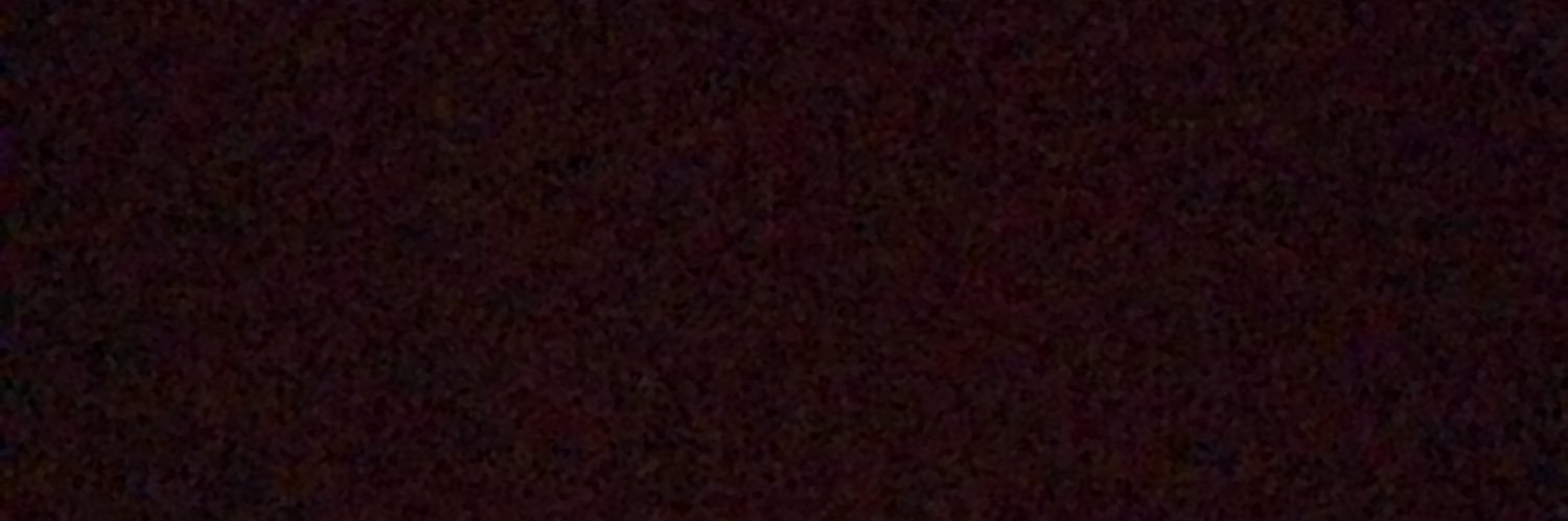 SaNe_Dono's profile banner image