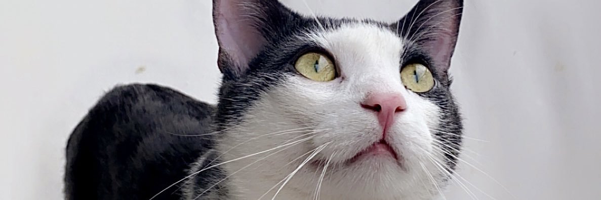katherinecookk's profile banner image