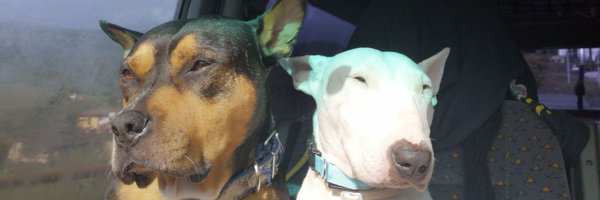 bago2k4 Profile Banner