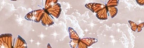 robynholley's profile banner image