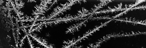 tithenai Profile Banner