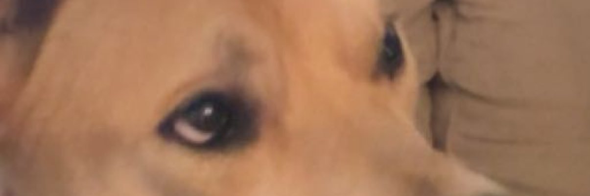 jasongerber5's profile banner image