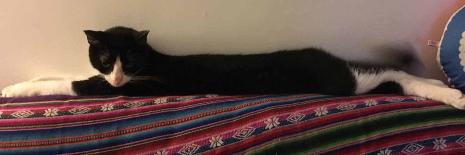 crazyvick's profile banner image
