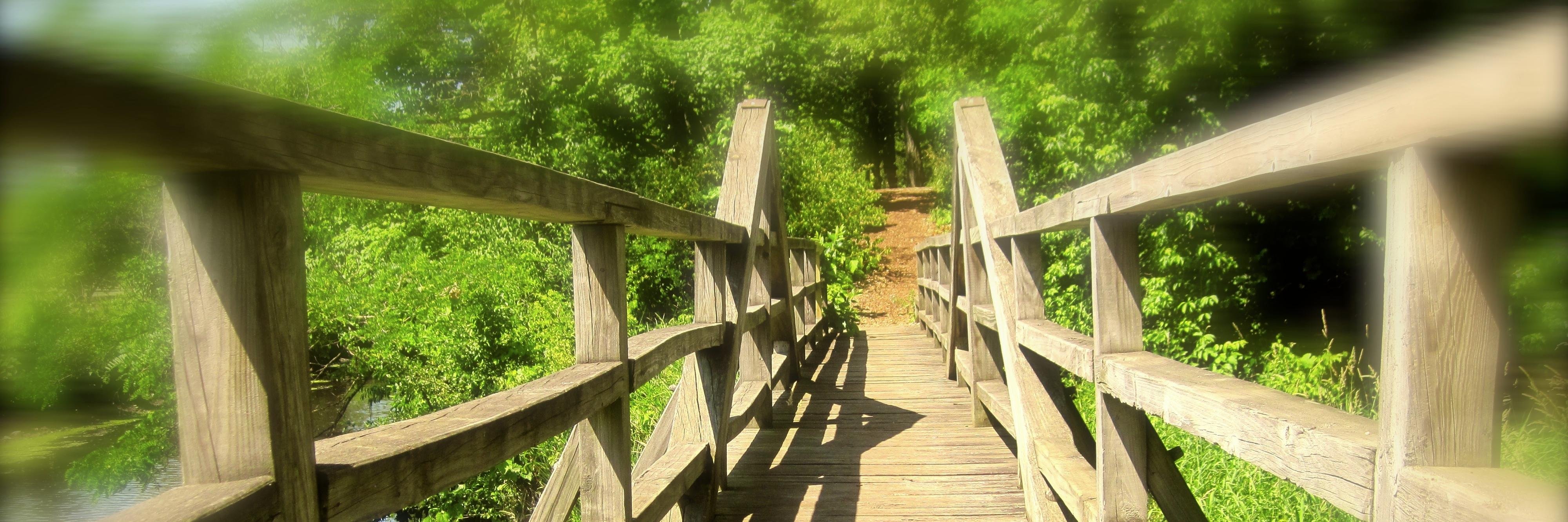 krausera's profile banner image