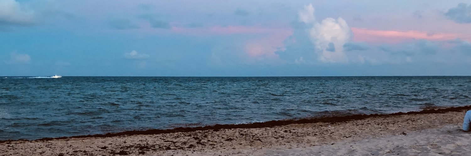 Nev___93's profile banner image