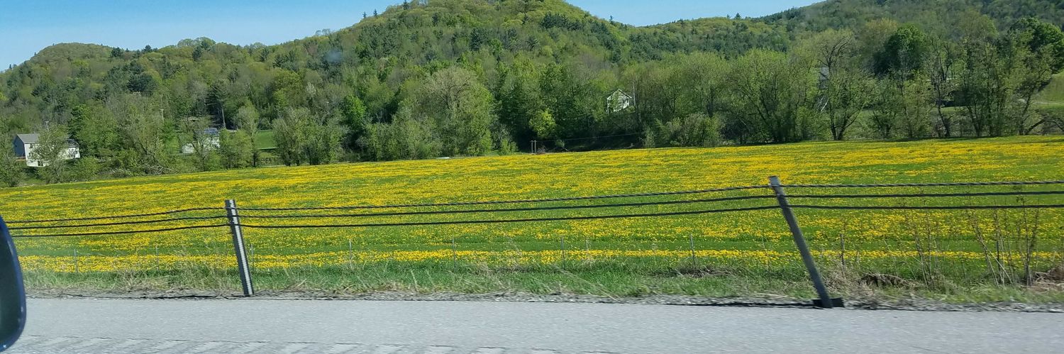 Ryan Rizzitano banner