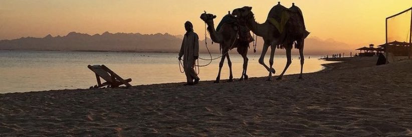 moaaz_zad's profile banner image