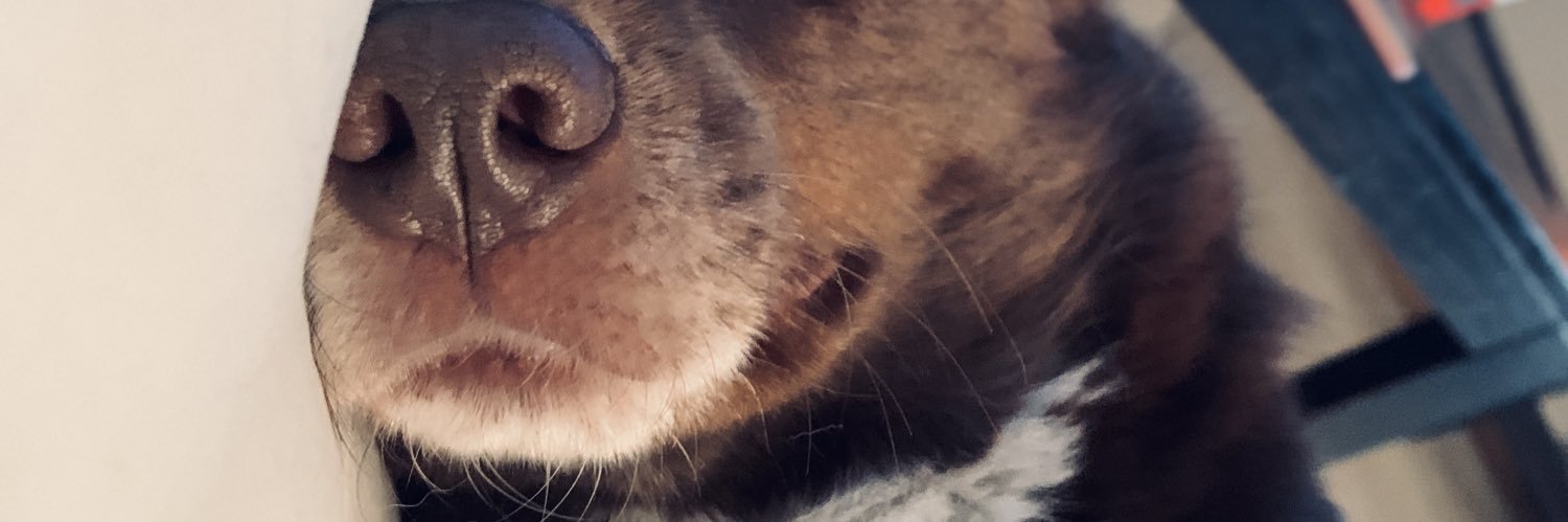 brynnsully's profile banner image