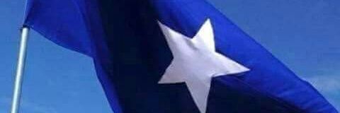 wolftania91's profile banner image
