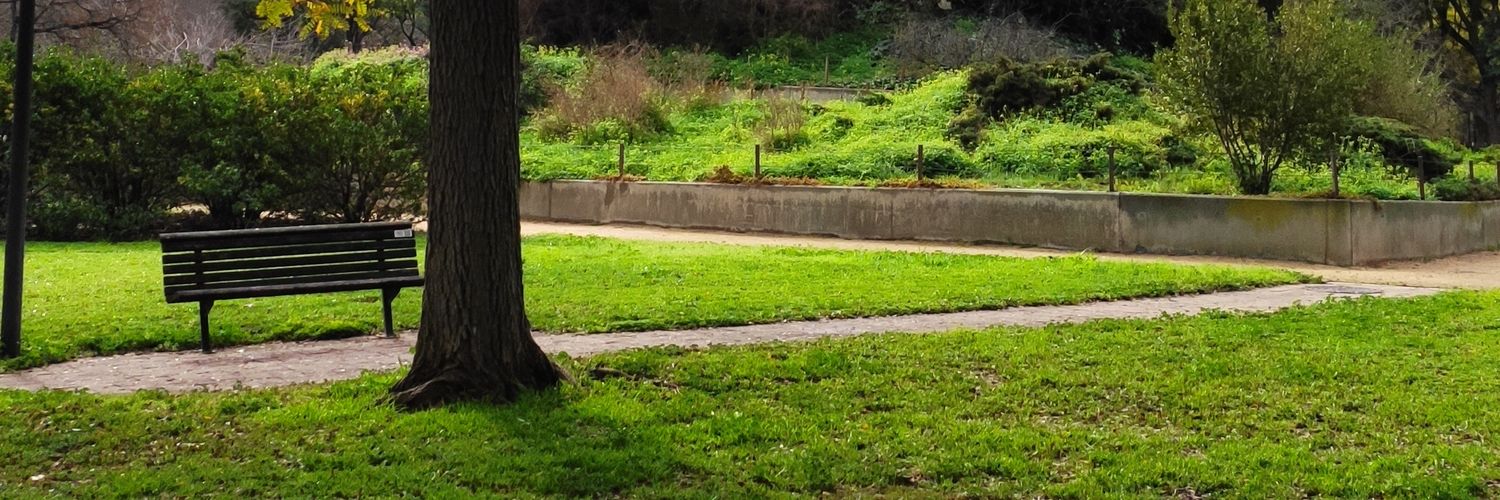GreenXbird banner