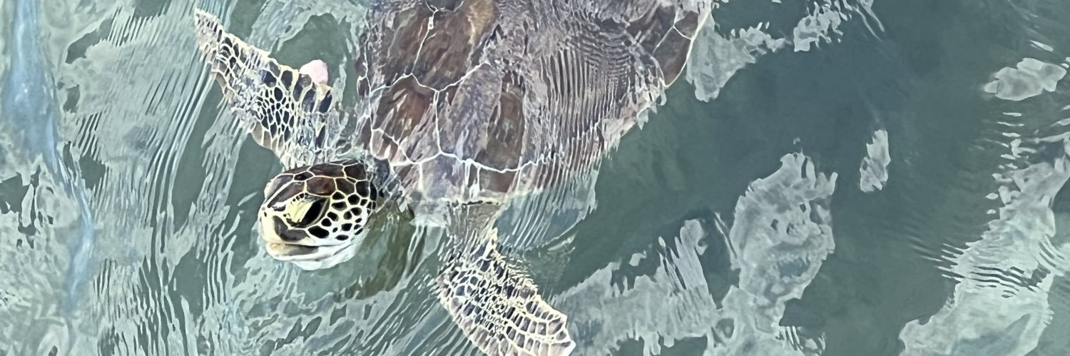 Florida Trader banner