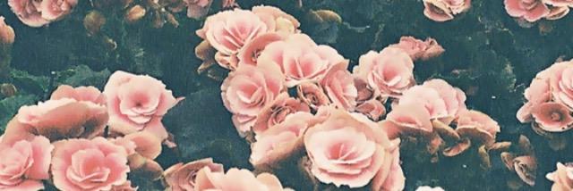 PmelaLopes3's profile banner image