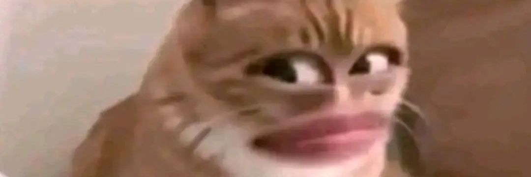Tafeee_'s profile banner image