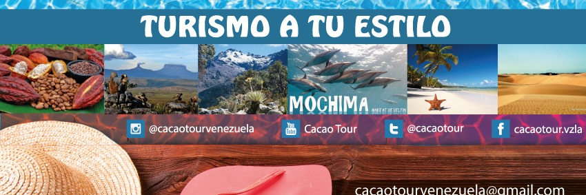 cacaotour's profile banner image
