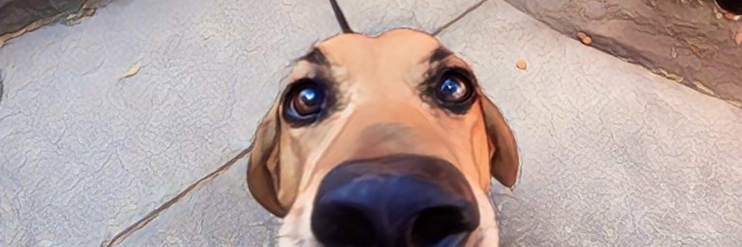 jasminlt's profile banner image