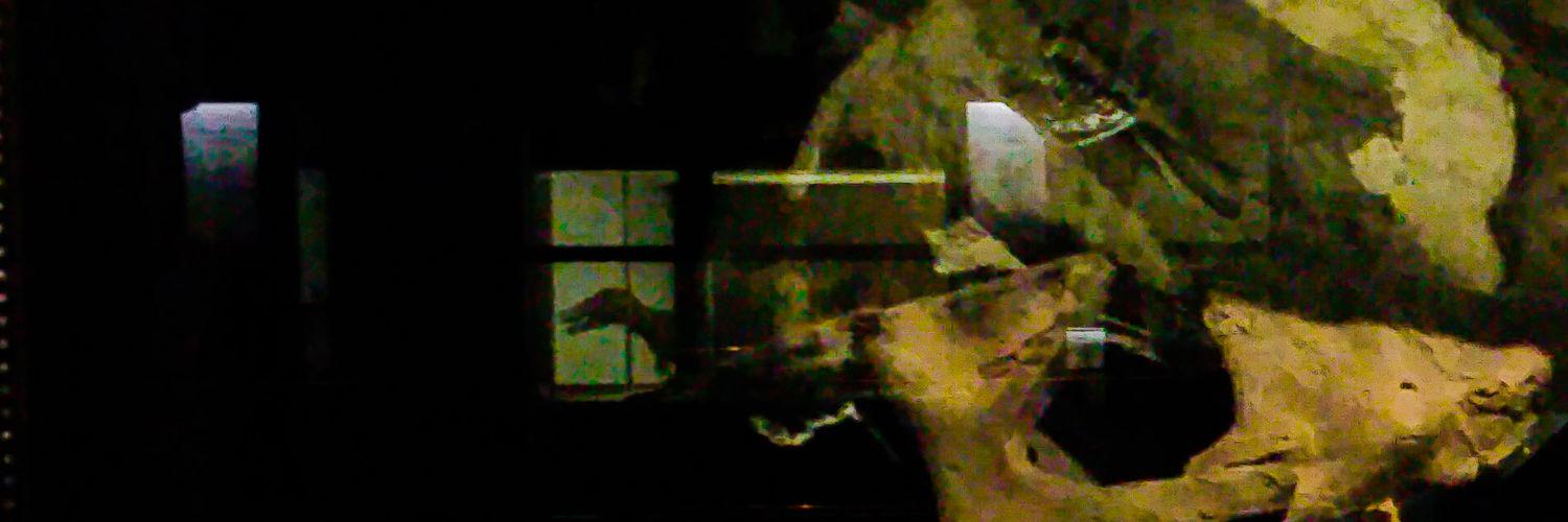 Crocutus's profile banner image