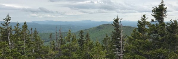 mllybrk Profile Banner