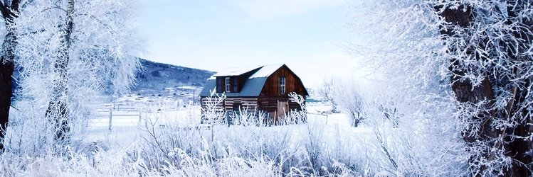 mjbrilley's profile banner image