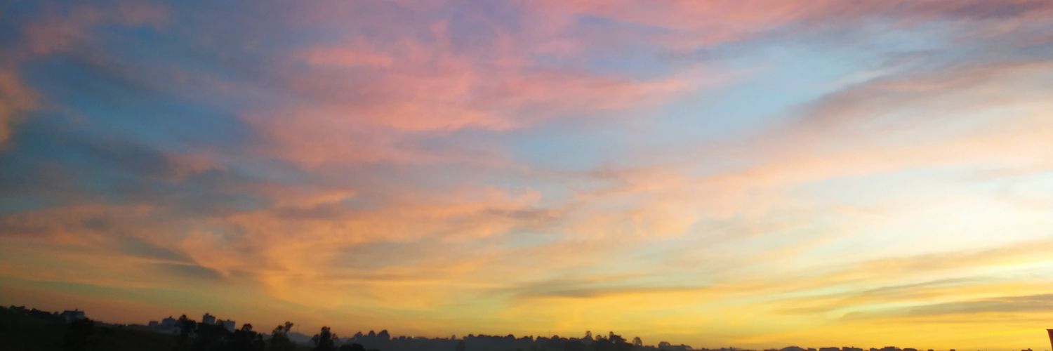 Txutis's profile banner image