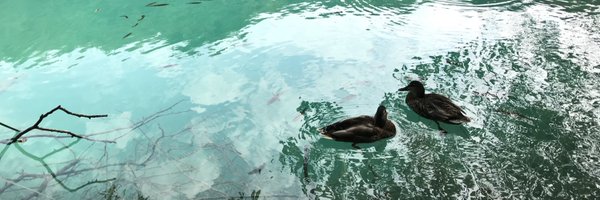 yukoyy Profile Banner