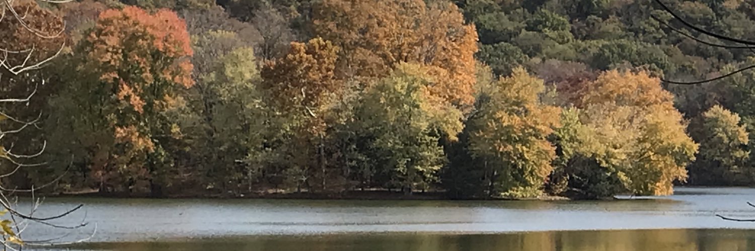 docjustdoc's profile banner image