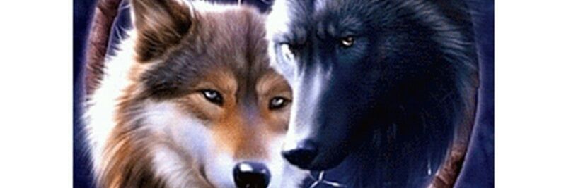 MarcelaGR1990's profile banner image