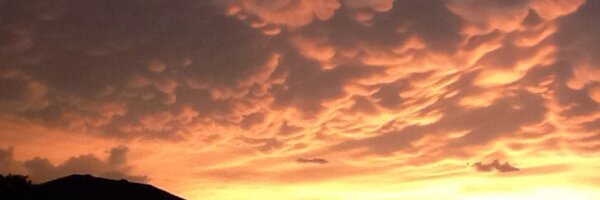 MouldenSarah Profile Banner