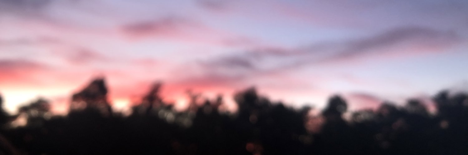 doblaswtf's profile banner image