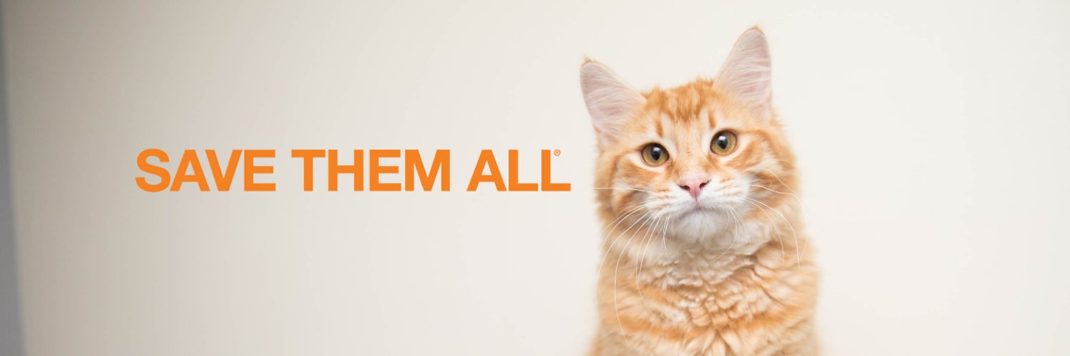 BFAS_ATL's profile banner image
