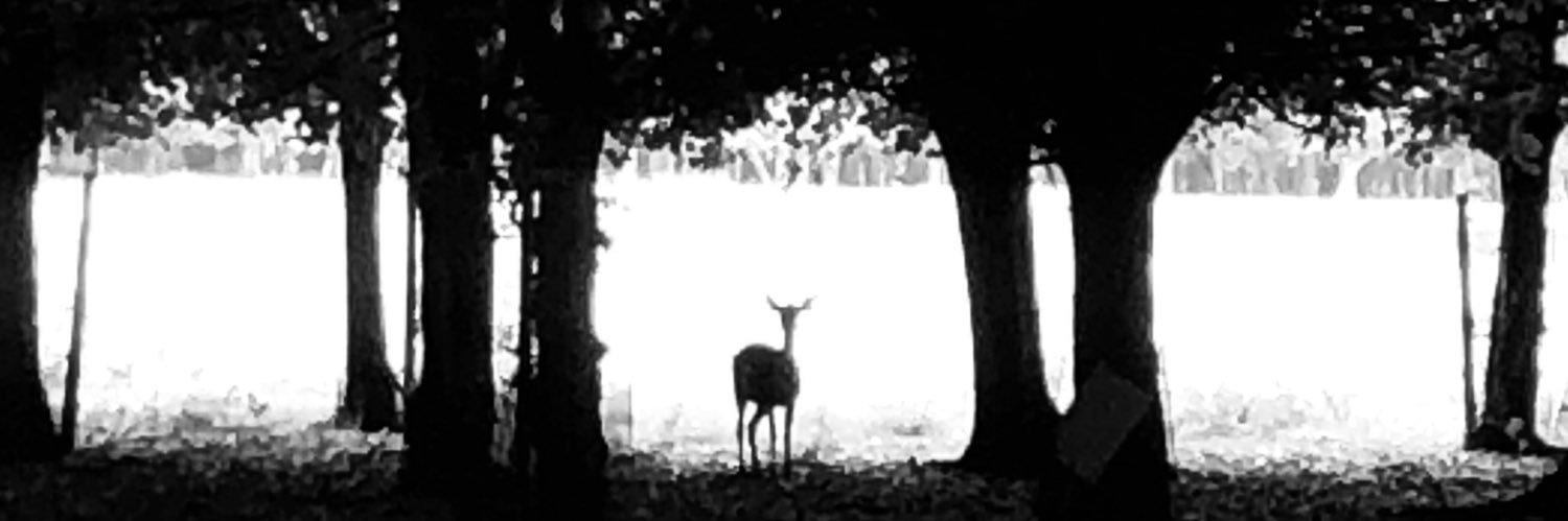SarahJCoogan's profile banner image